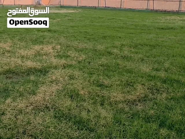 ملعب كرة قدم معشب عشب طبيعي وكامل المعدات من كشافات وكل شي