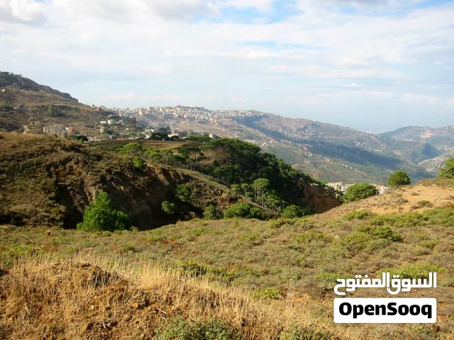 Attractive Land in Kobbeih for sale