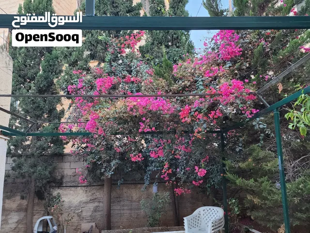 منزل للأيجار في جبل اللويبدة