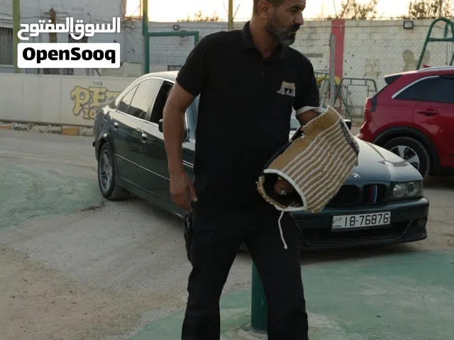 تدريب الكلب ليس رفاهية. بل استثمار في راحته وأمانه وأمان عائلتك.  في مركز بت زون نقدم برامج تدريب تن