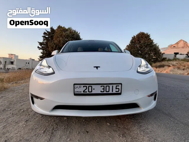 Tesla Model Y Performance 2023
