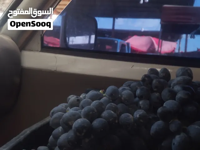 عنب اسود درجه اولى مضمون بل حبه