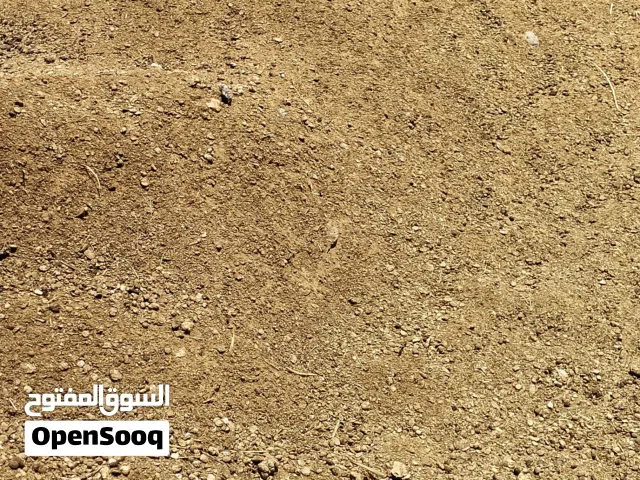 سماد نظيف جدا جواني كبيره