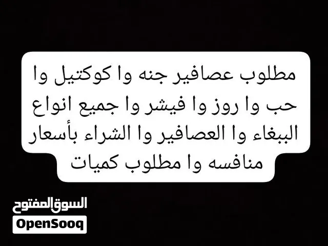 مطلوب عصافير الجنه وا حب وا كوكتيل وا روز وا فيشر وا جميع انواع الببغاء وا العصافير وا اقرء الوصف