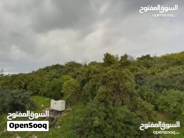 شقة لقطة وسعرها لقطة لحقوها مناسبة جداً للمقبلين عا زواج ول الفاقدون لمنازلهم بسبب الحرب