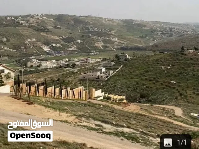 ارض لقطة للبيع من المالك مباشرة في اًجمل منطقة و اًجمل حوض في ام رمانه في الزرقاء ملاصقة لشفا بدران