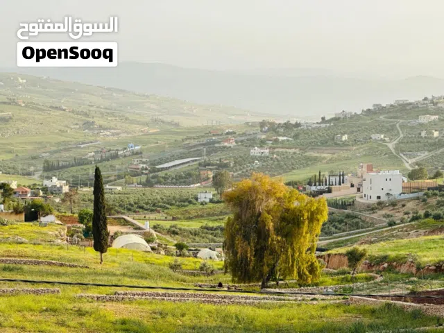 قطعه ارض للبيع في جرش ام قنطره حوض المحمر مقابل مطعم ريف المزرعه اطلاله بانوراما وسط الشاليهات