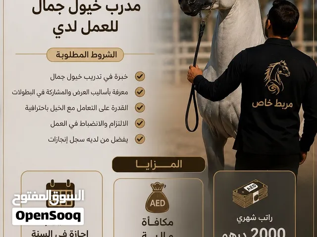 توفر وظيفة مدرب خيل