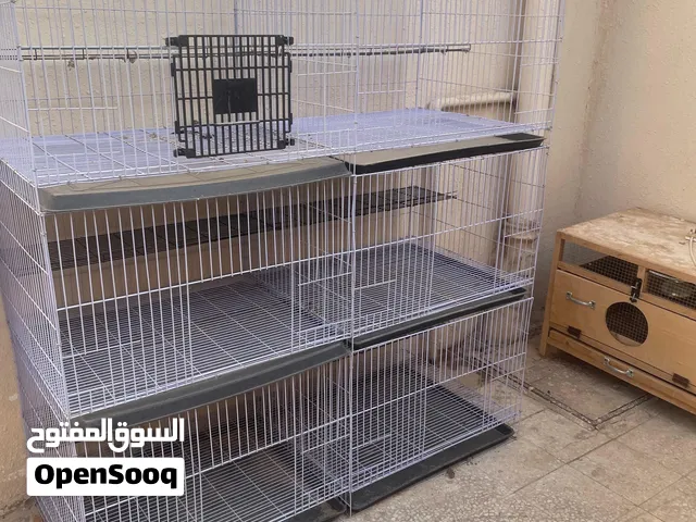 محكر حمام 6 عين كل عين لها علبه للأكل وقاية مياه وبياضتين واحد فوق ع استاند وواحد تحت