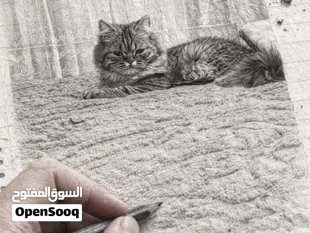 السلام عليكم رايده قطه لتبني