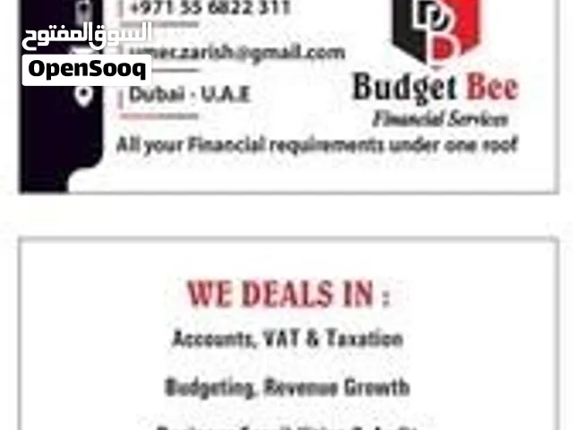 Part Time Accountant & Tax Consultant