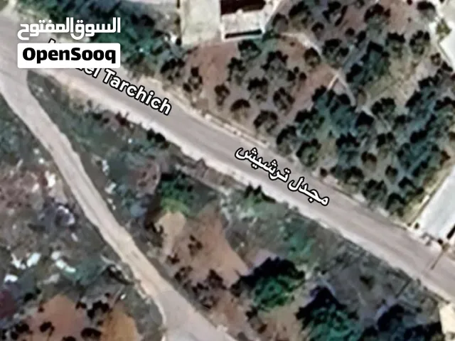 Land For Sale in Tarchich