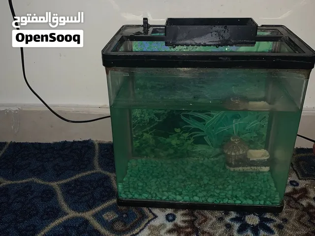صندوق للبيع السمكة