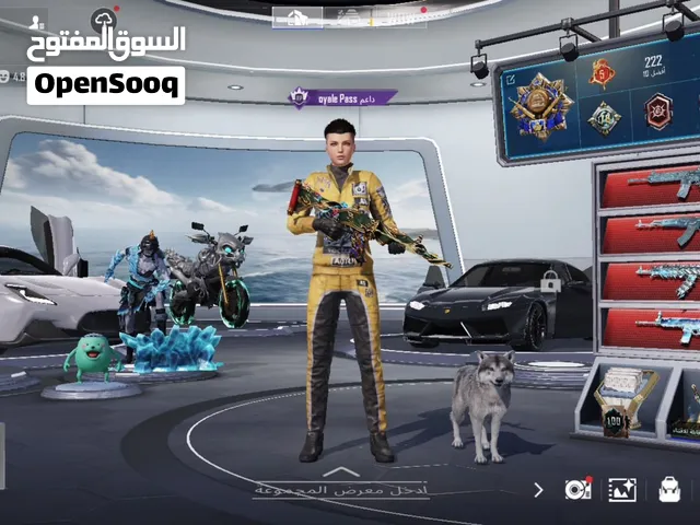 Pubg Accounts and Characters for Sale in Northern Governorate