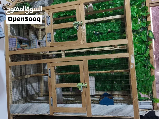 قفص تفصال شغل بيت مو سوكاوي