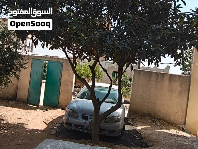 شجره اسكادنيا عمرها اكثر من15سنه