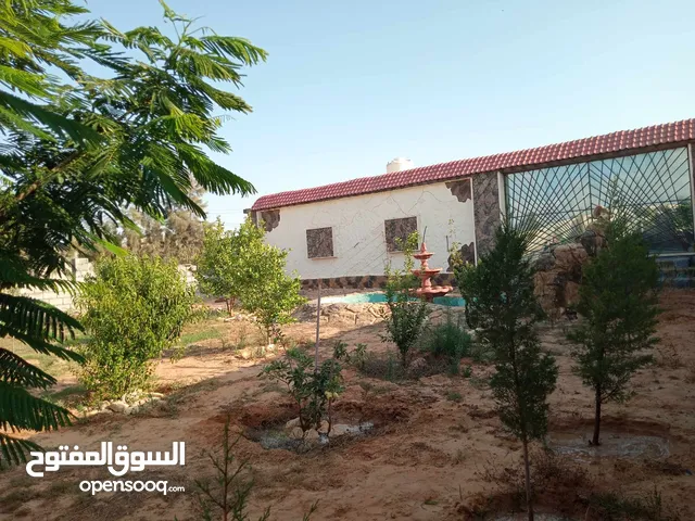ارض للبيع شهاده عقاريه او الاستاجار الشهري