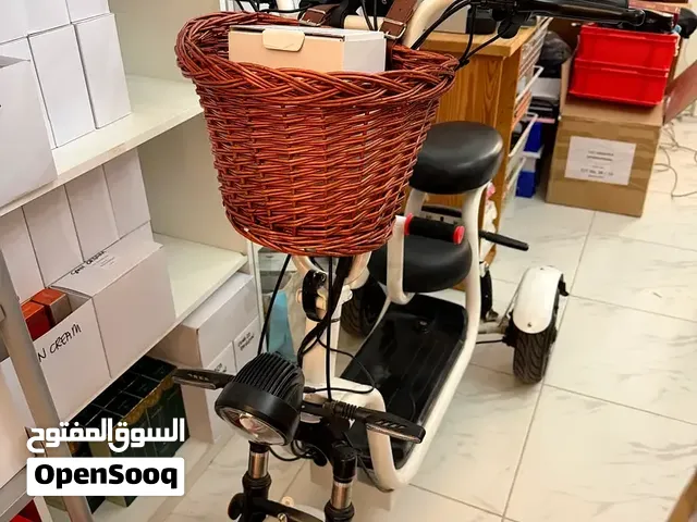 Electric Bike