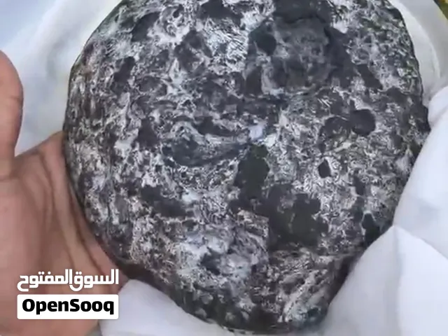 للبيع عنبر الحوت الاسود الاصلي