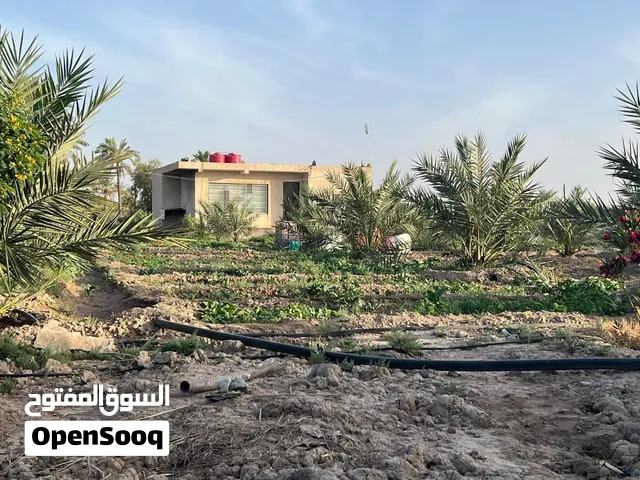بيت درجه أولى  مع بستان دونم ونص يحتوي على أشجار و60 برحيه طابو زراعي سند 25  على ساحل الحوطه شط الع
