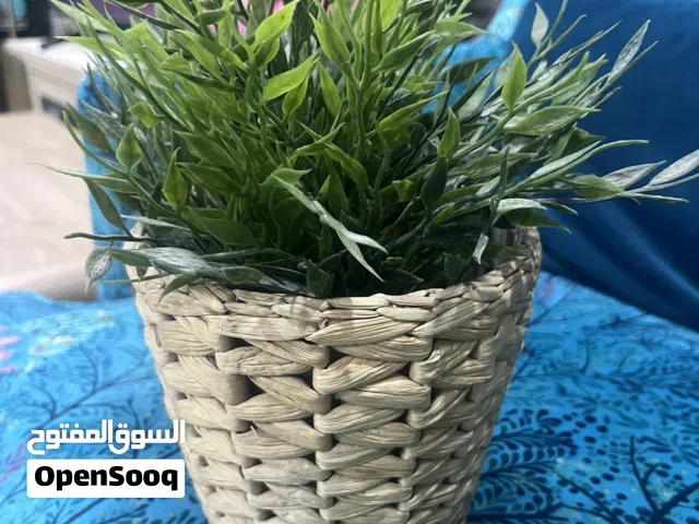 IKEA FEJKA potted plant هذه النبتة الاصطناعية هي نبتة FEJKA (فيكا) من ايكيا بامبو منزلي