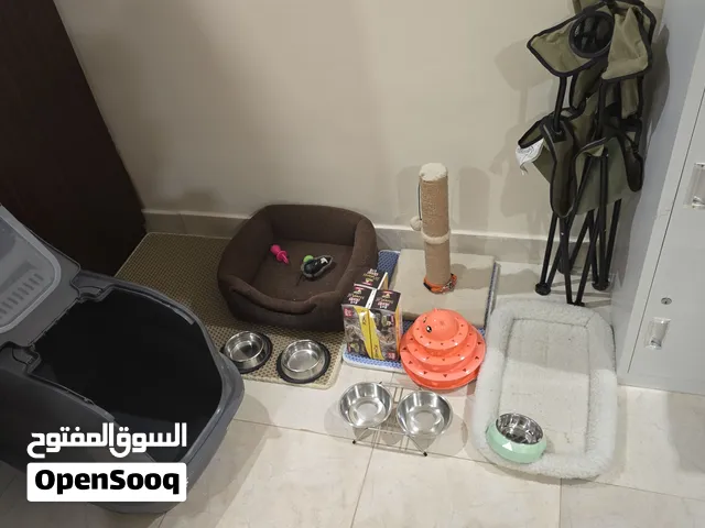 cat accessories and bed , litter