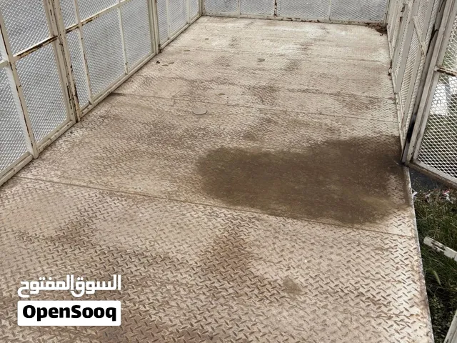 شبك دينا صندوق دينا
