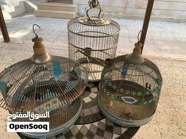 أقفاص مميزه للبيع على الجميع