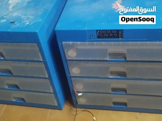 حضانات صيني