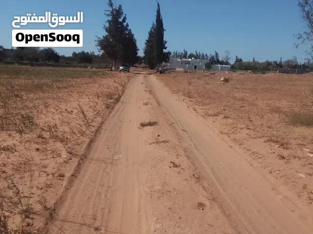 Farm Land for Sale in Tripoli Gasr Garabulli