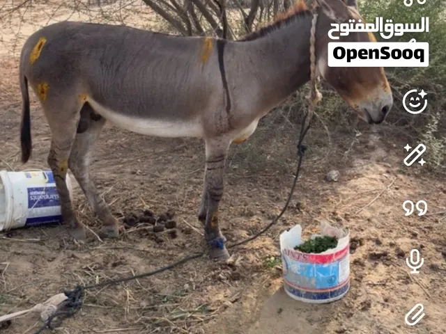 تواصل خاص فيديو قديم هذا