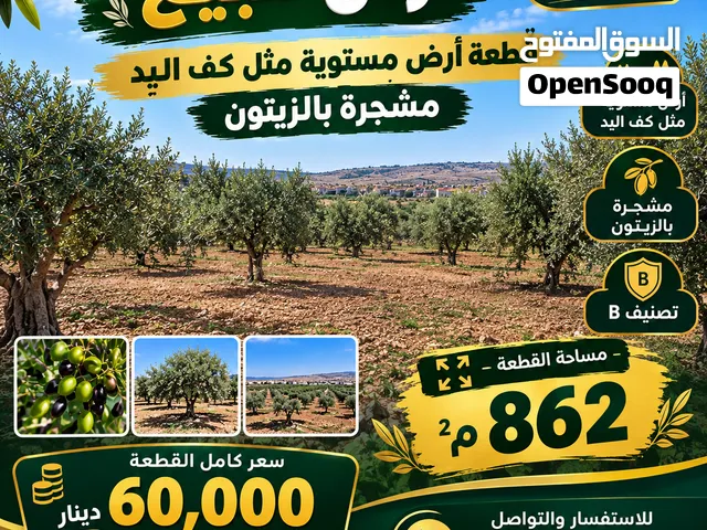 فرصة مميزة لامتلاك أرض في بيت أولا