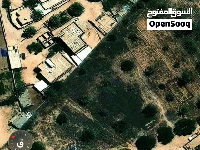 قطعت ارض ل بيع اقرأ وصف