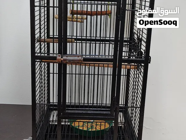 birds cage