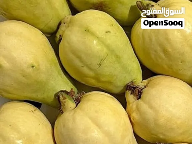 يوجد كميات جوافه سحم
