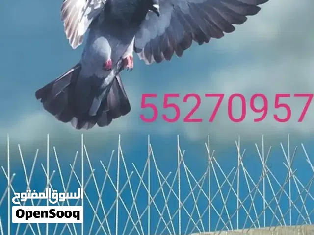 طارد الحمام والطيور
