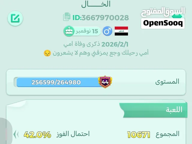 حساب يلا لودو