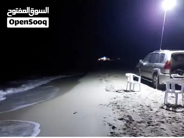صنارة إضاءة