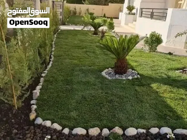 يتوفر جميع أنواع الاشجار  حمضيات لوزيات شجر زينه نسعد بخدمتكم