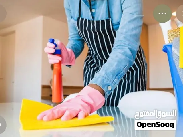 cleaning company