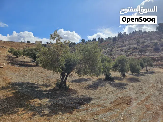 ارض للبيع في جرش من المالك مباشره