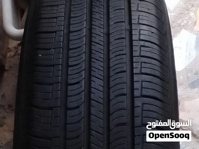 تخم ويل وتاير