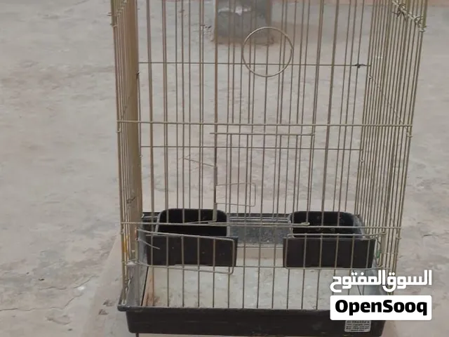قفص ببغاء مرتب