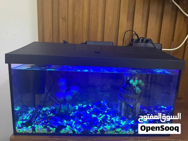 حوض سمك للبيع
