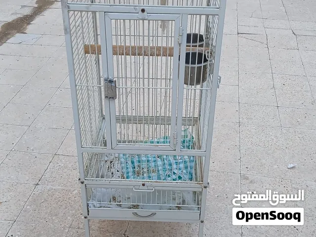 قفص طيور نظيف جدا