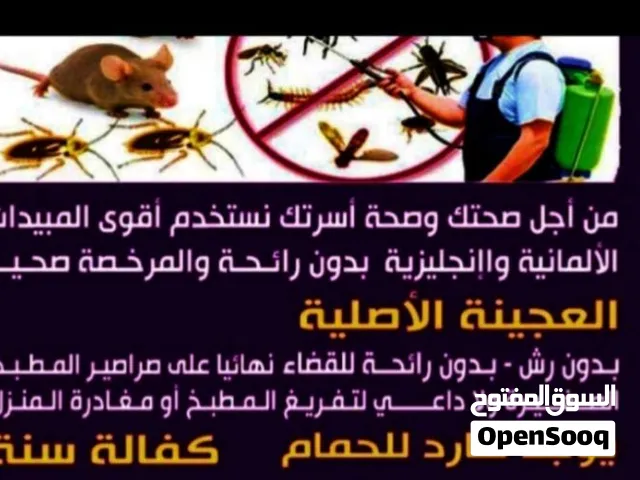 مكافحه جميع انواع الحشرات الحماه