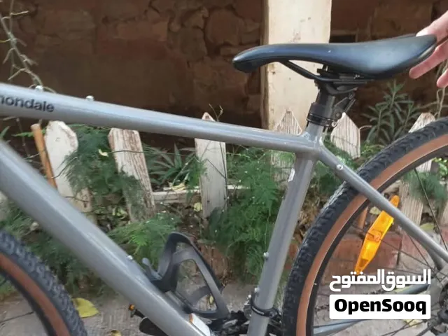 Vélo de course français fourche carbon