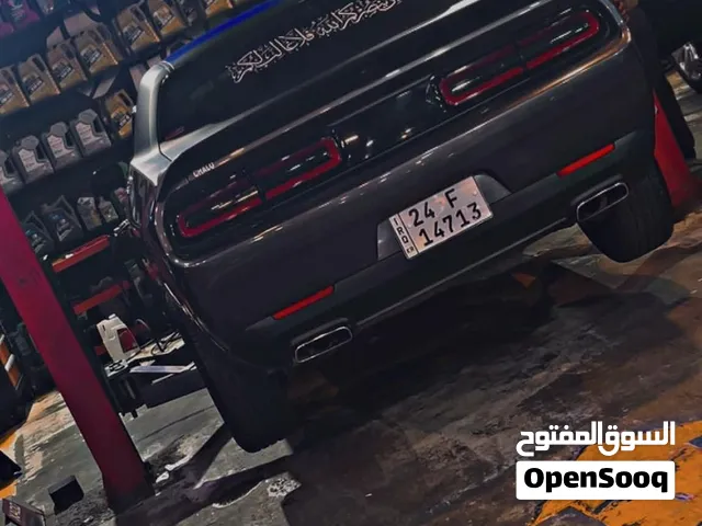 جالنجر 2017 للبيع