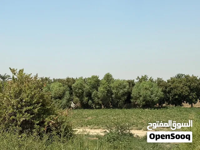 فرصة استثمارية