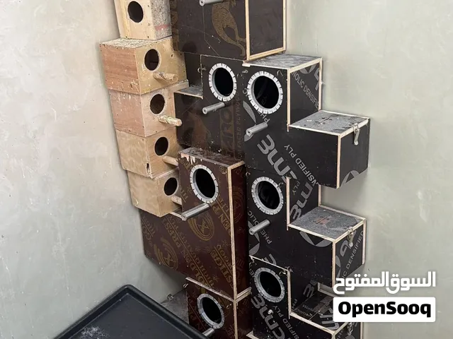 أقفاص للبيع